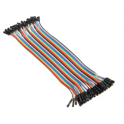 Cable Dupont 200mm Female-Female - 40 Way