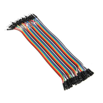 Cable Dupont 200mm Male-Male - 40Way